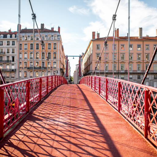 Journée cohésion d'équipe à Lyon : le grand air comme allié !