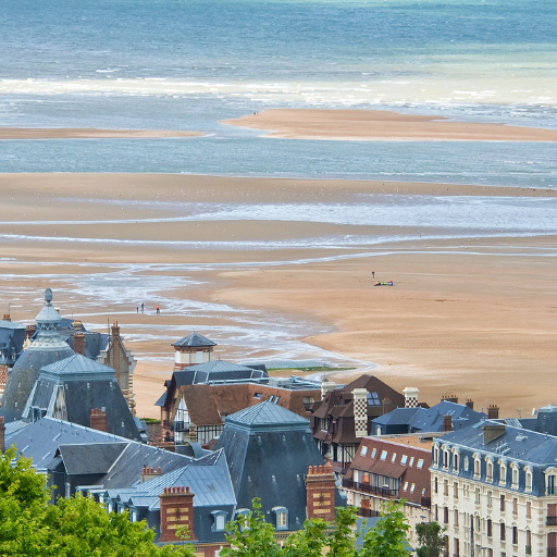 Activité séminaire sur les plages normandes