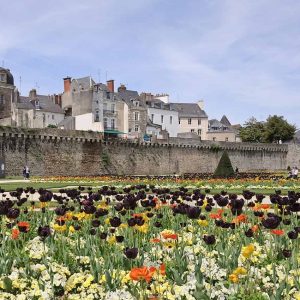 Activité Séminaire Bretagne