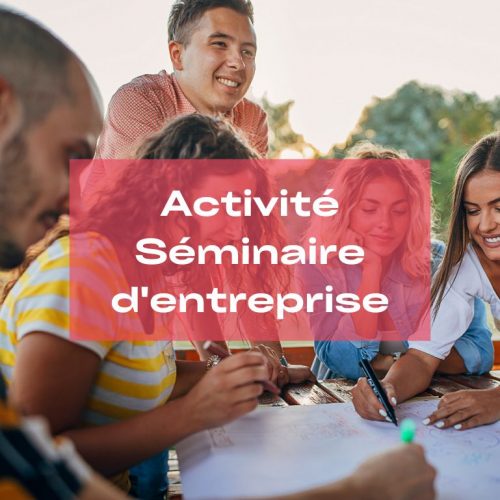 vignette activité d'entreprise en séminaire